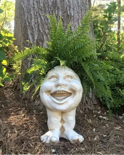 Fanyil Joy Planter DE - Libiyi